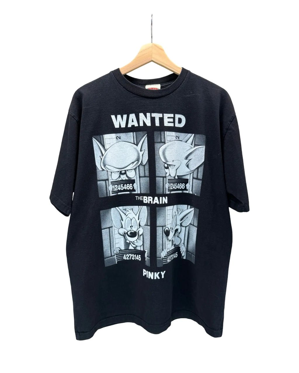 Vintage 90s Pinky & The Brain Prisoners Tee KIF Vintage