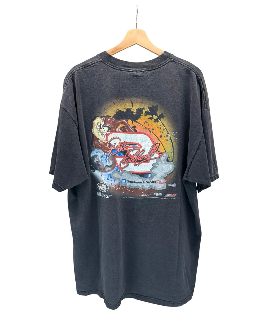 Vintage 2000 Taz x Dale Earnhardt Nascar Tee KIF Vintage