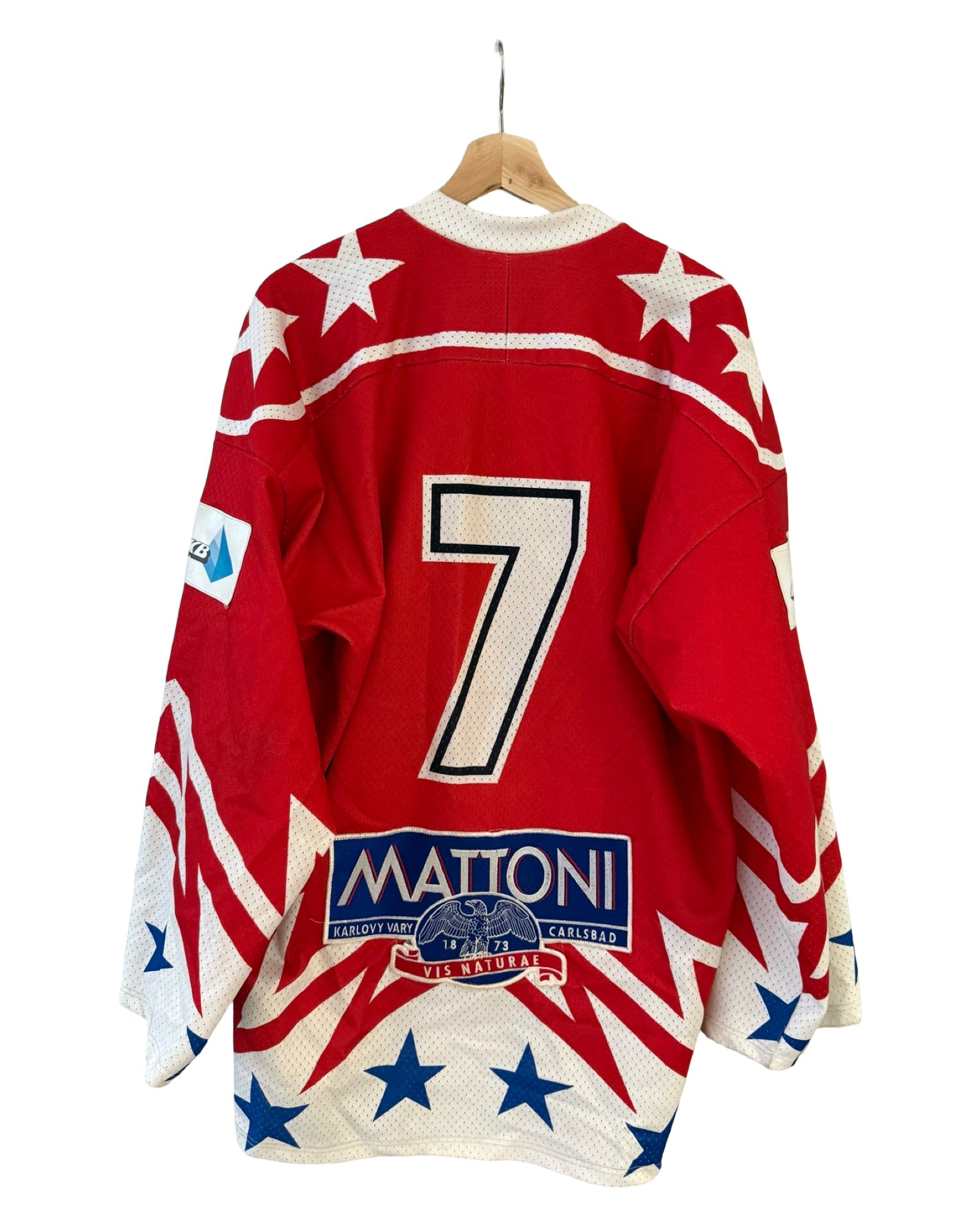 Vintage Rare 90s Czech Republic Olympic Hockey Jersey