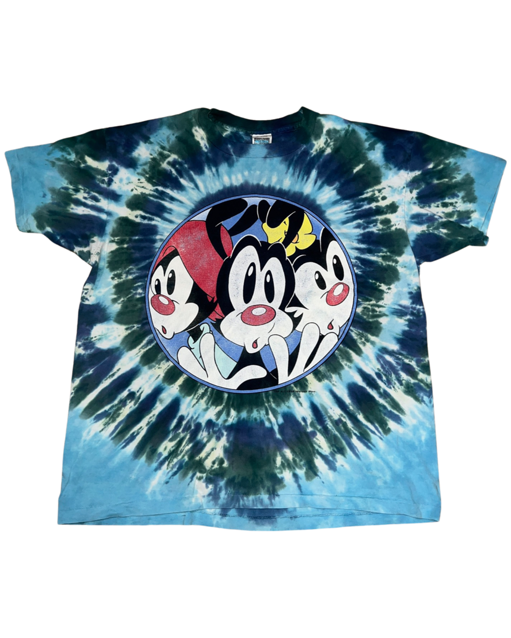 Vintage 90s Animaniacs Tie Dye Tee KIF Vintage